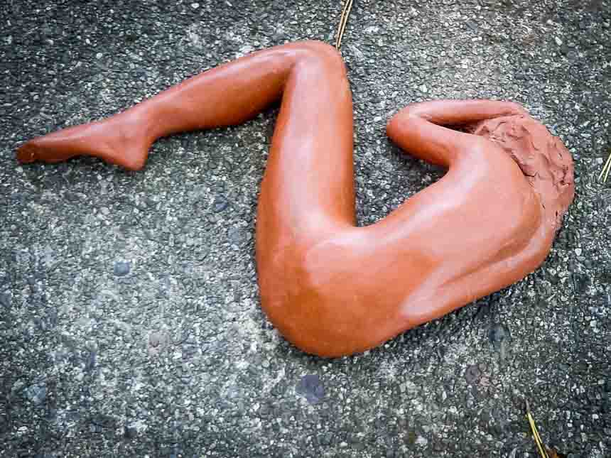 Sleeping Lady